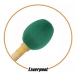 Maceta e Bacalhau para Zabumba Liverpool Sambrasil SBZT Tradicional Nordestino